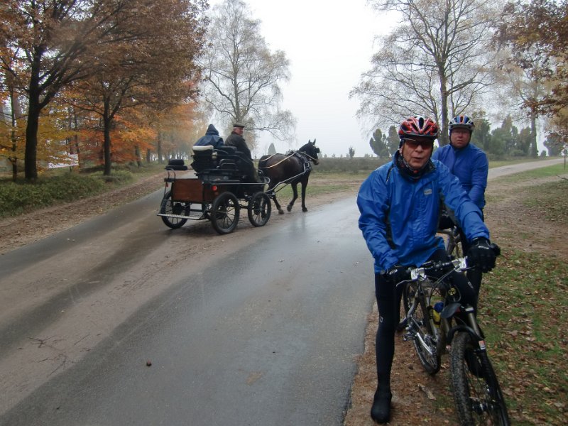 Wilseder Berg 1 2010 056